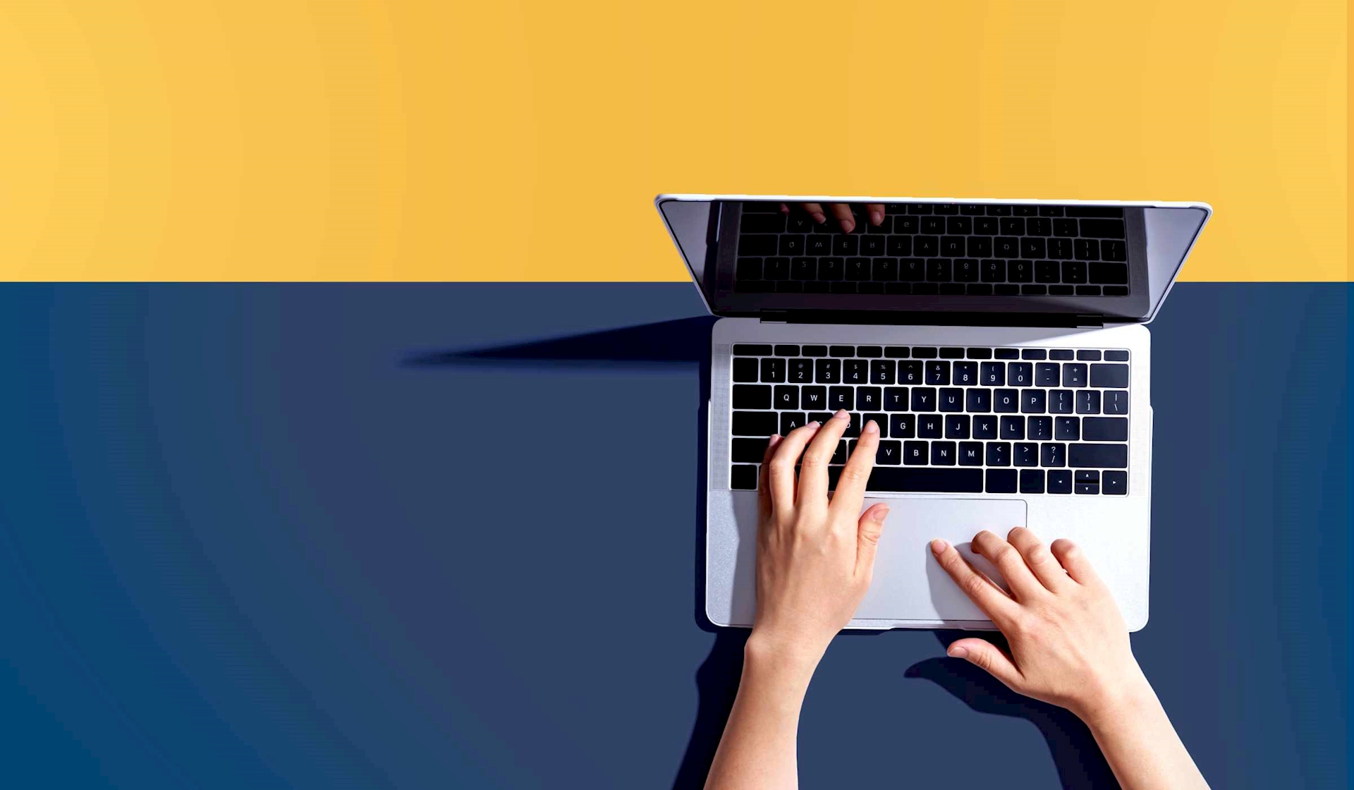 person using laptop on a yellow and blue background